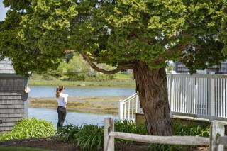 Green Harbor Resort - 2