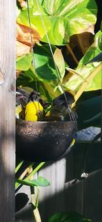 Un ptit coin de bonheur - 6