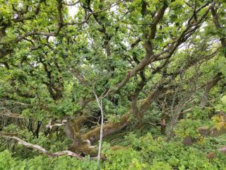 8 person holiday home in Spøttrup-By Traum - 3