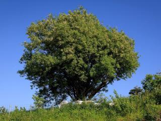 6 person holiday home in Knebel-By Traum - 5