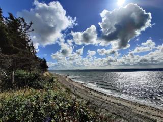 6 person holiday home in Spøttrup-By Traum - 5