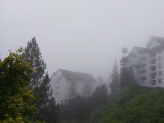 ComfyHome A3-5-6 5th Flr Mountaon view - 7