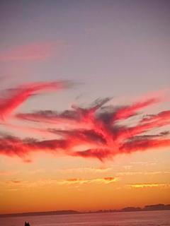 Appartement Madeleine Uniquement les familles - 0