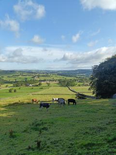 Three Bedroom Countryside Cottage - 7