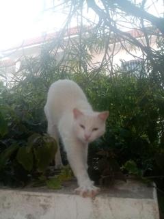 Appartement Madeleine Uniquement les familles - 2