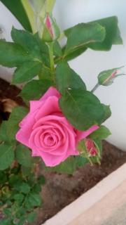 Appartement Madeleine Uniquement les familles - 4