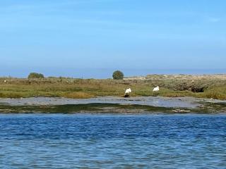 Appartement Madeleine Uniquement les familles - 5