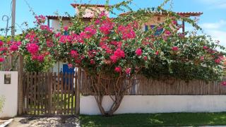 Le Petit Suítes Praia de Lages - 8