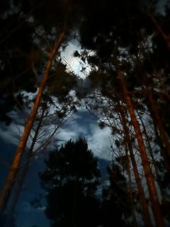 Nuestro Lugar PdD 2 - 4