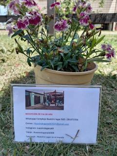 Nuestro Lugar PdD 2 - 2