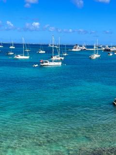 Évasion tropicale - 2