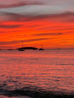 Évasion tropicale - 1