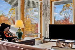 Exclusive Attraction Ticket Prices! Beautiful Views, Hot Tub & Resort Perks! - 4