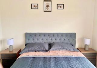 Cómodo departamento con vista al lago y volcanes - 7