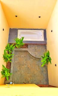 Eden Garden Bandipur Tiger Reserve - 1