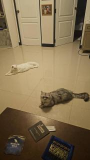 Ban sabai pool villa - 3