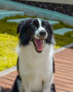 Nala's Home - Uluwatu - 3