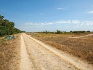 Holiday home with waterpark access in Væggerløse - 6