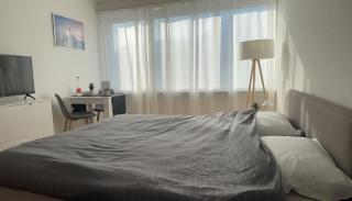 Komfortables Apartment für Urlaub in Triesen - 6