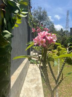 Kapaliya Unawatuna - 8