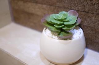 Luxury Triplex Penthouse with Balcony and Stunning Mountain Views - 9