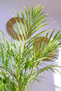 Luxury Triplex Penthouse with Balcony and Stunning Mountain Views - 8