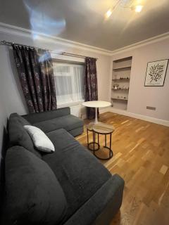 Modern Flat with Wembley Stadium View - 9