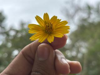 DANDELI NAKADI Home Stay - 3