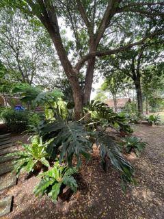 บ้านนกฮูก อิงธารา - 4