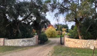 The Olives Heritage House - 7