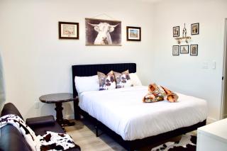 New SW Inspired Home, 9 Guests, Tesla Ready, Pet Friendly - 6