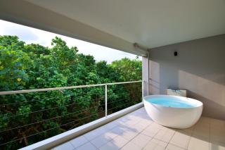 Plus Life Shiraho B - 5