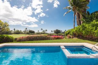 ❤PiH❤ Kamilo Ohana Views Heated Pool Beach Club Access - 7