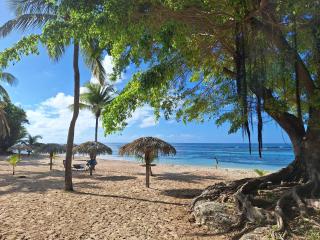 Appartement Emeraude Caraïbes, Anse des Rochers - 1