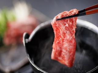 Nanki Shirahama Dog Paradise - 3