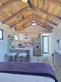 Casita Baja Beans Purple - 3