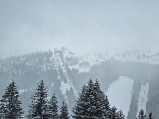 Studio 4 pers avec balcon au pied des pistes - FR-1-687-117 - Flaine - 4