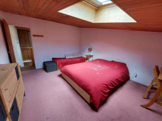 Duplex 8 pers, skis aux pieds, Les Deux Alpes - FR-1-516-224 - 6