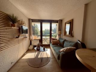 Studio cosy rénové avec balcon sud - 2 pers. - FR-1-836-15 - Les Carroz d'Araches - 1