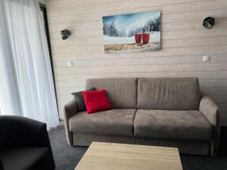 Gourette: T2, 6 pers, piscine, animaux acceptés - FR-1-860-30 - 1