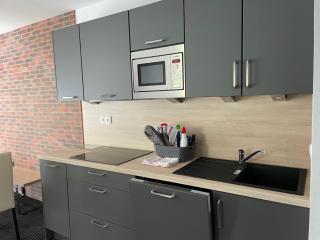 Appartement 3 pièces 8 pers, vue montagne, animaux admis - FR-1-860-3 - 5