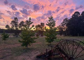 Gumtree Hideaway by Tiny Away - Stoneville - 7