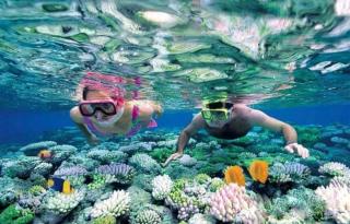 Hoi An Tháng 1 Villa - 1