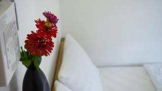 Homestay Nhà Của Gạo - 5