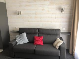 Studio confort 4/5 pers, vue pistes, animaux admis - FR-1-859-13 - 8