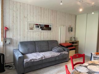 Studio cabine confort 6 pers, animaux admis, Gourette - FR-1-859-34 - 9