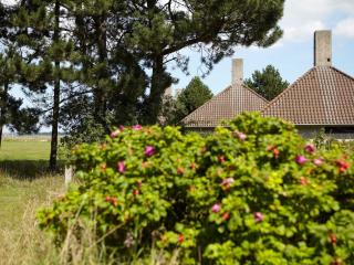 Holiday home on a holiday park in Karrebæksminde - 1