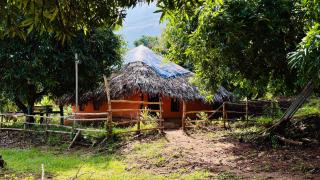 Jungle Farm House - 9