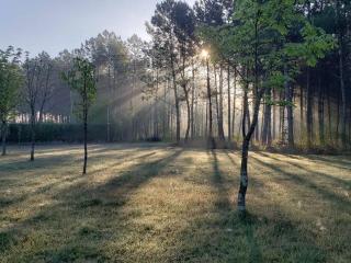 Gîte calme et paisible en forêt, idéal pour famille et amis - FR-1-410-486 - Le Grand-Lucé - 2