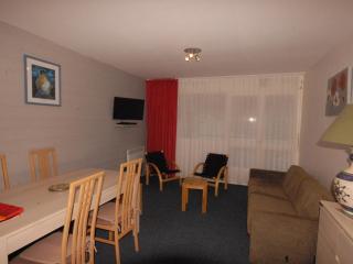 Studio confort 6 pers, balcon Sud-Est, animaux admis - FR-1-859-37 - 7